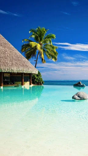 Paradise Live Wallpaper screenshot 2