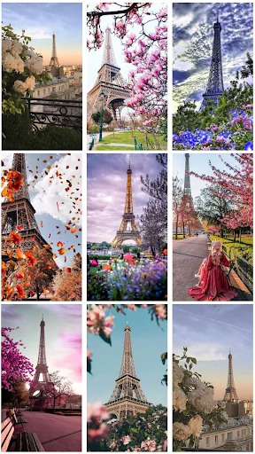Paris Wallpaper - Eiffel Tower