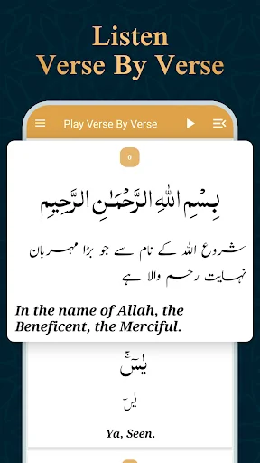 Surah Yaseen Mp3 Offline