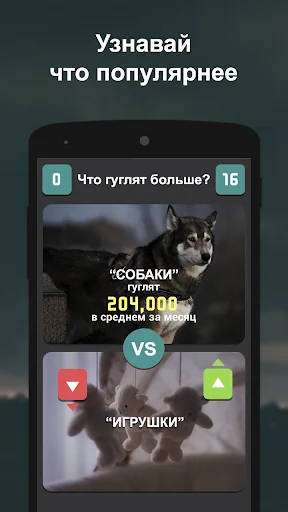 Что гуглят больше?