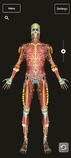 3D Counterstrain