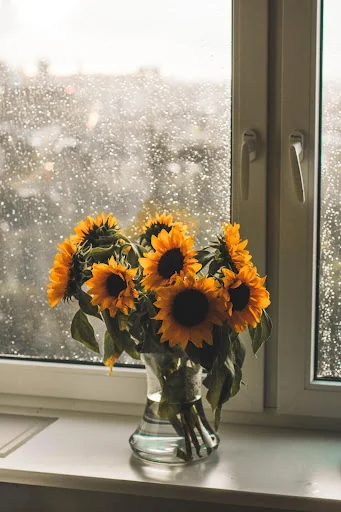 Roses gif screenshot 1