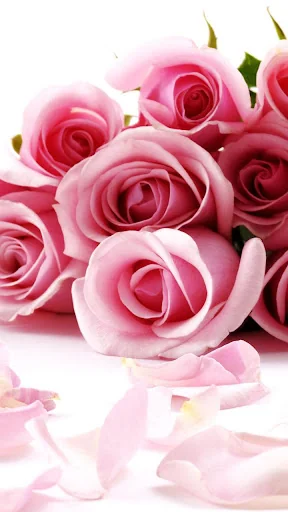 Roses Live Wallpaper screenshot 2