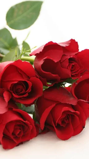 Roses Live Wallpaper screenshot 3