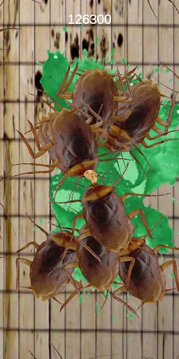 Stop the Cockroach!