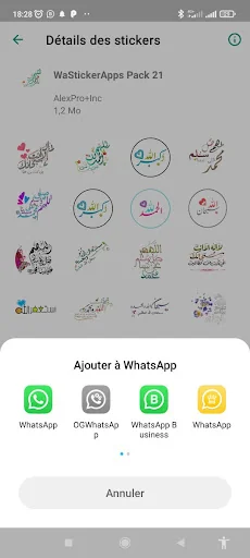 Islamic Stickers-WASticker screenshot 4