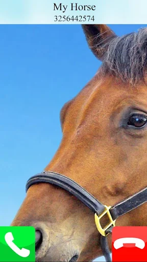 fake call horse game care