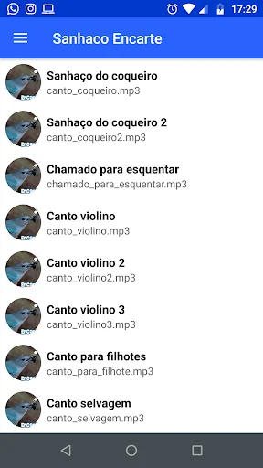 Sanhaço Encarte