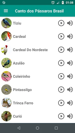 Birdsong Brazil