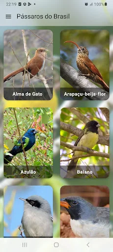 Pássaros Do Brasil screenshot 1