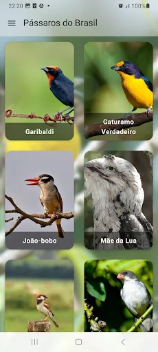 Pássaros Do Brasil screenshot 3