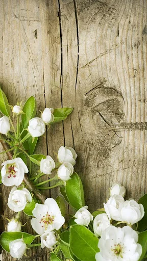Spring Flowers Live Wallpaper screenshot 4