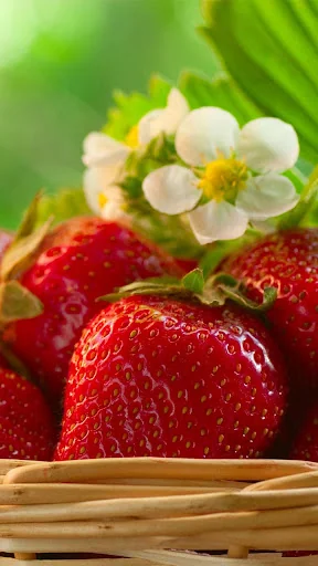 Strawberry Live Wallpaper screenshot 4