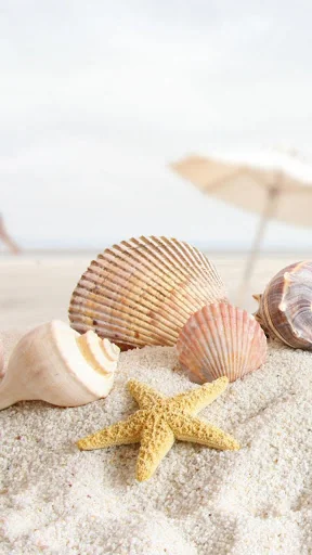 Summer Live Wallpaper screenshot 1