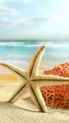 Summer Live Wallpaper screenshot 3