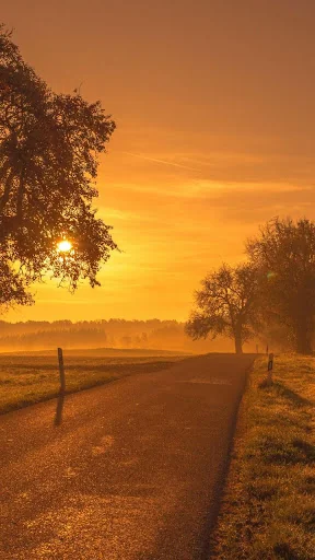 Sunrise Live Wallpaper screenshot 2