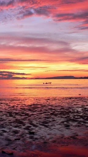 Sunrise Live Wallpaper screenshot 4