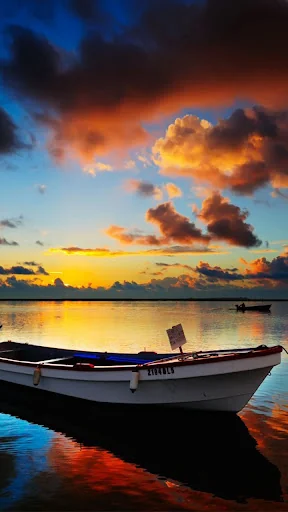 Sunset Live Wallpaper