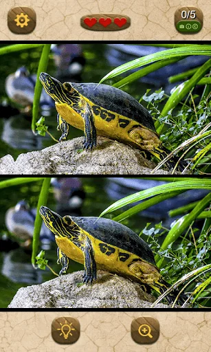 Find the differences screenshot 2