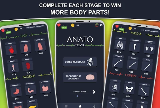 Anato Trivia -  Quiz Anatomy screenshot 3