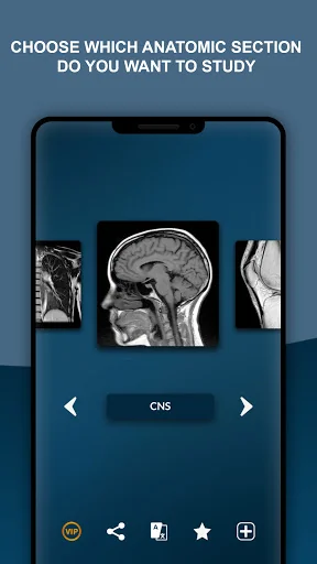 MRI - Resonance Protocols screenshot 1