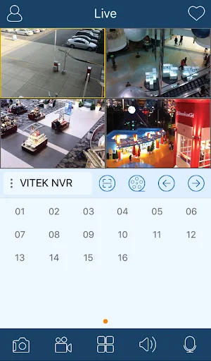 VITEK Transcendent Series View