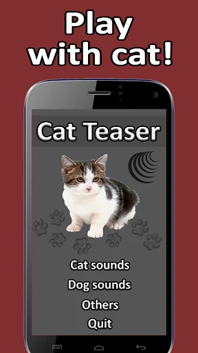 Cat Teaser