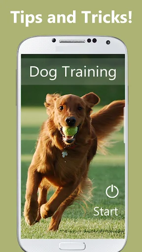 Dog Training