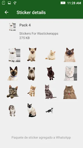 Cat Memes WASticker