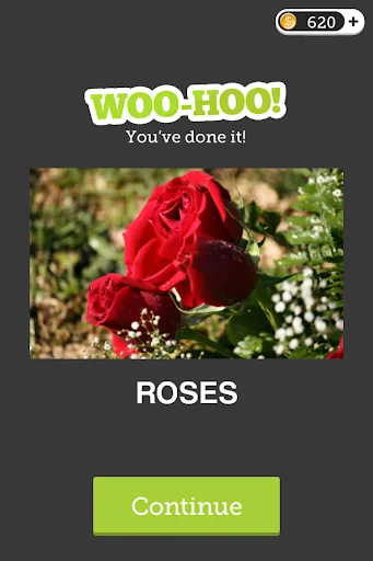 Eye Know: Image FX Word Quiz screenshot 3