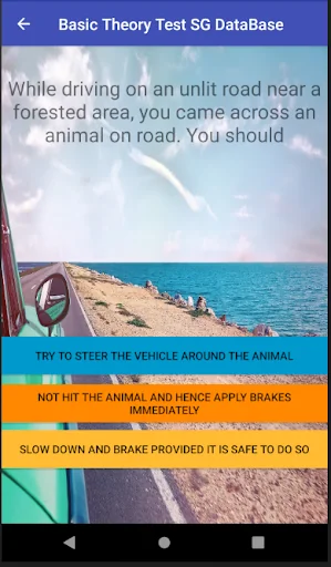 Basic Theory Test Singapore screenshot 4