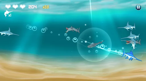 Bladefish