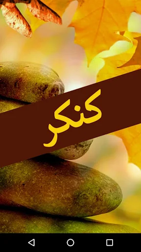 Kankar by Umera Ahmed - Urdu N