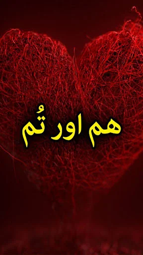 Hum or Tum by Zeela Zafar - Ur