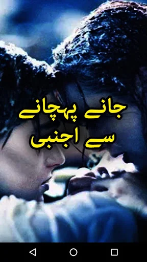 Jany Pehcahny Se Ajnabi by Saw