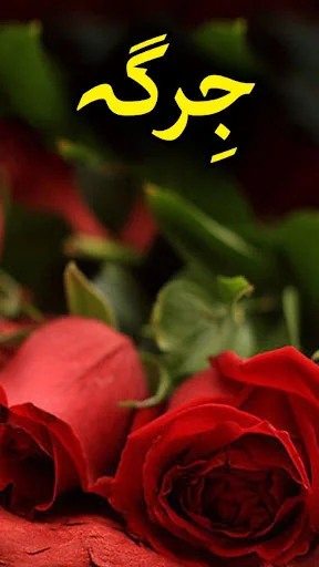 Jirgah Novel by Riaz Aqib Kohl