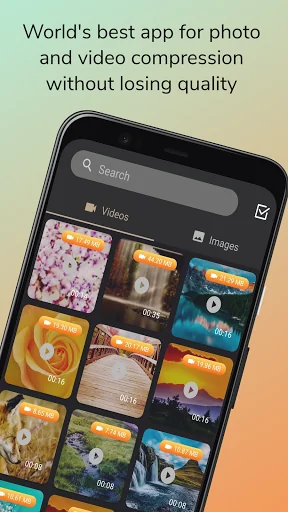 Veedify: Auto Compress Video