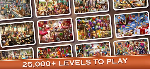 Big Home Hidden Objects