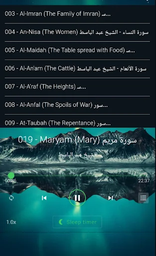 مصحف مرتل عبد الباسط بدون نت screenshot 3