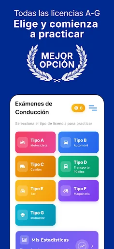 Test de Licencia de Conducir