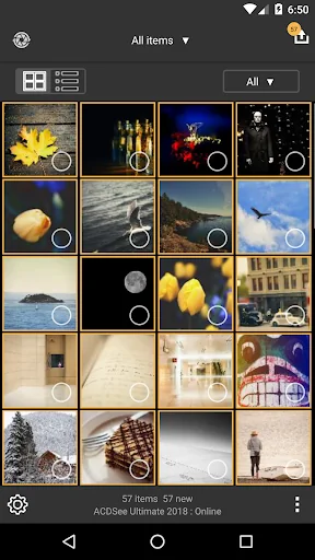 ACDSee Mobile Sync