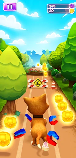 Pet Run - Puppy Dog Game screenshot 1