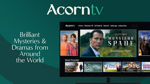 Acorn TV: Brilliant Hit Series