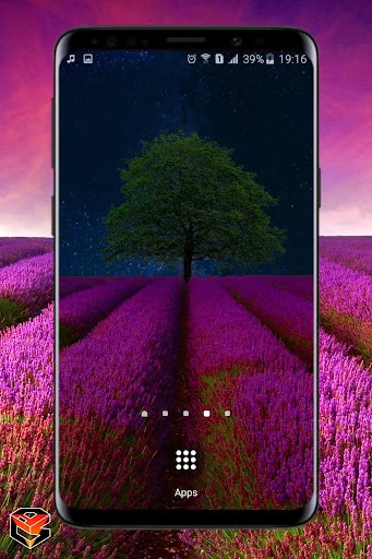 Lavander Field Live Wallpaper