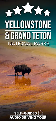 Yellowstone & Grand Teton Tour