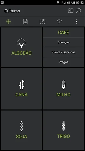 ADAMA Alvo