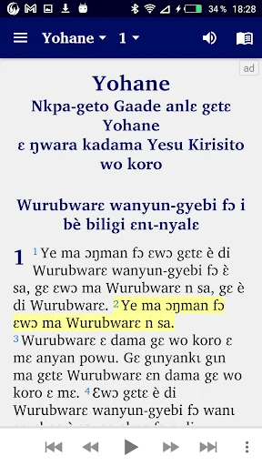 Adele Bible with English