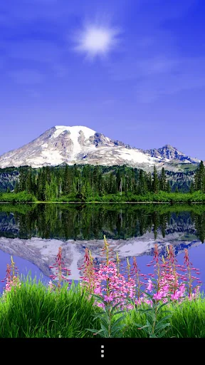 Mount Rainier Lite