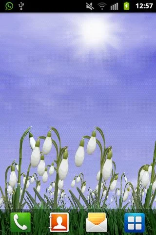 Snowdrops Lite