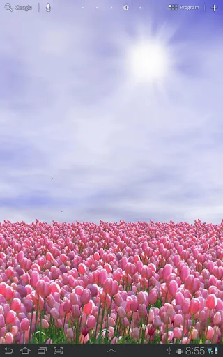 Tulip Field Lite LWP